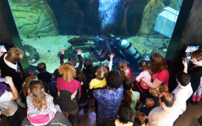 Musées à Ne Pas Manquer à Saguenay