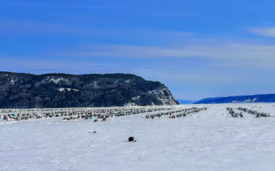 Croisières Hivernales 2025 : Le Commandant Charcot Fait Escale à La Baie