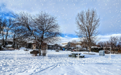 Quoi faire en hiver à Saguenay : Nature, culture et détente