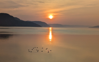 Que faire à La Baie en novembre 2025